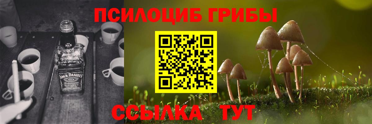 Псилоцибиновые грибы GOLDEN TEACHER Иваново